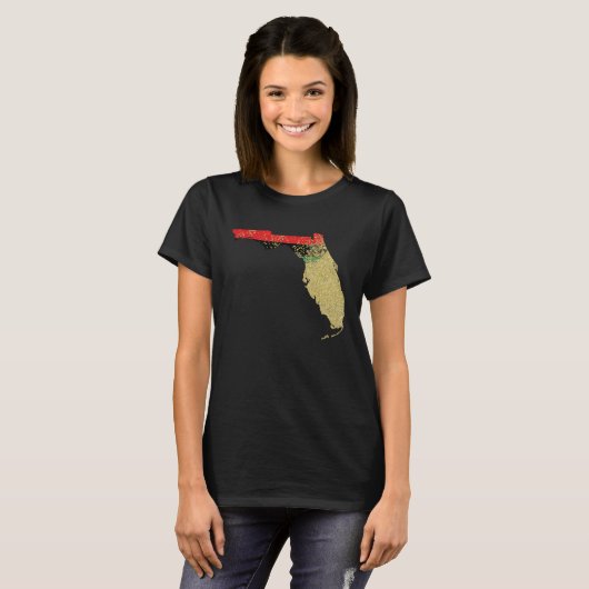 Florida Black Pride Pan African Flag Home Hometow Tシャツ (正面フル)