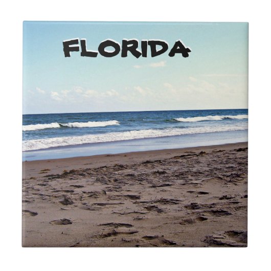 Florida Coastal Shoreline Beach Scene タイル (正面)
