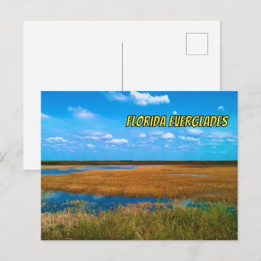 Florida Everglades Sawgrass, Sky & Reflections ポストカード (正面/裏面)