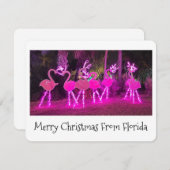 Florida Flamingo Christmas Card シーズンカード (正面/裏面)