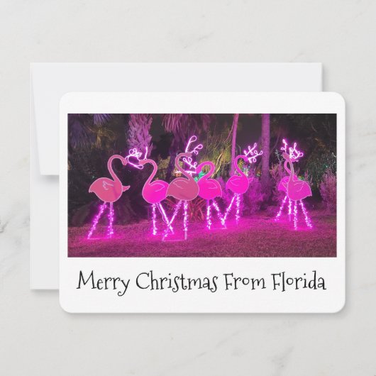 Florida Flamingo Christmas Card シーズンカード (正面)