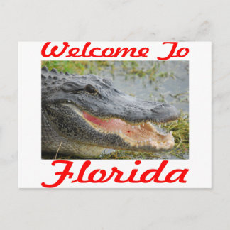Florida Gatorへようこそ ポストカード