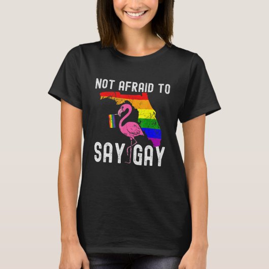 Florida Gay Not Afraid To Say Gay LGBTQ Gay Rights Tシャツ (正面)