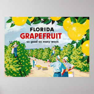 Florida Grapefruit 1930s Vintage Poster ポスター