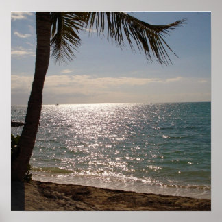 Florida Keys Beach ポスター