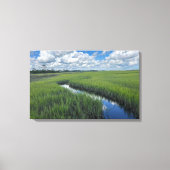 Florida Palencia Wetlands Photograph Canvas キャンバスプリント (正面)