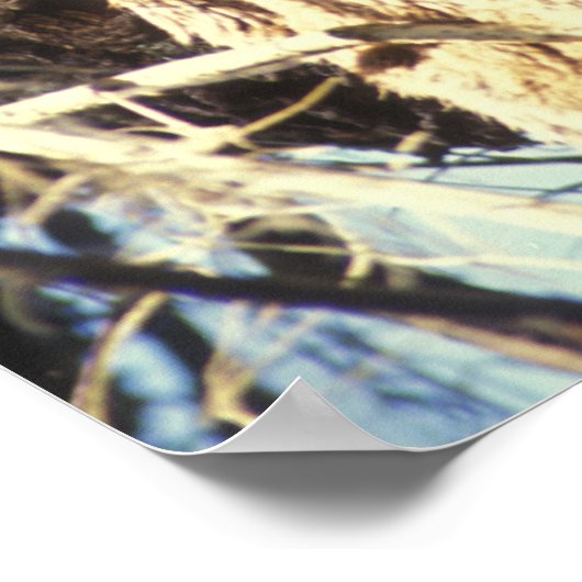 Florida Panther ポスター (角)