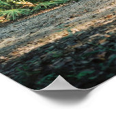 Florida Panther in forest ポスター (角)