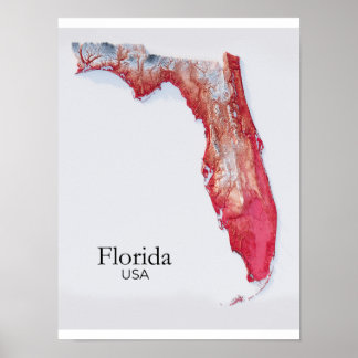 Florida Relief Map Red Texture ポスター