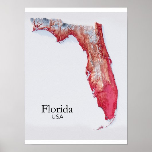 Florida Relief Map Red Texture ポスター (正面)