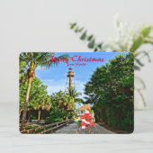 Florida Santaから自転車でメリークリスマス シーズンカード (スタンド正面)