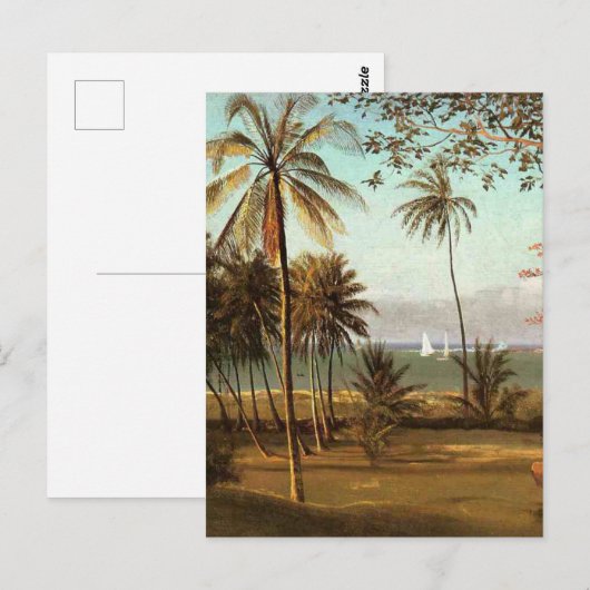 Florida Scene by Albert Bierstadt ポストカード (正面/裏面)