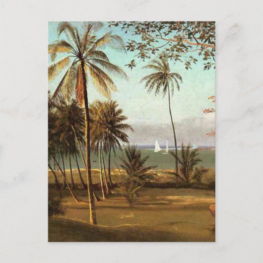 Florida Scene by Albert Bierstadt ポストカード (正面)