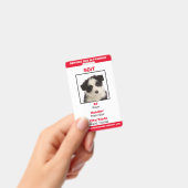 Florida SDiT (Service Dog In Training)情報バッジ バッジ (手持ち)