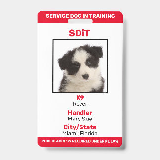 Florida SDiT (Service Dog In Training)情報バッジ バッジ