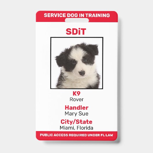 Florida SDiT (Service Dog In Training)情報バッジ バッジ (表面)
