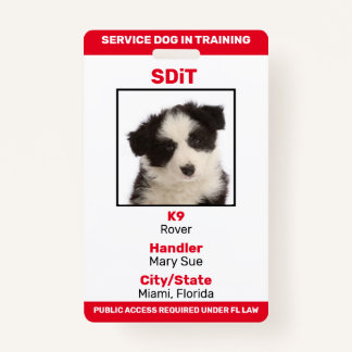Florida SDiT (Service Dog In Training)情報バッジ バッジ