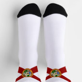 Florida State flag ソックス (上部)