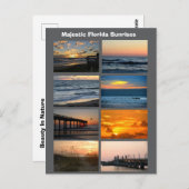 Florida Sunrises  ポストカード (正面/裏面)