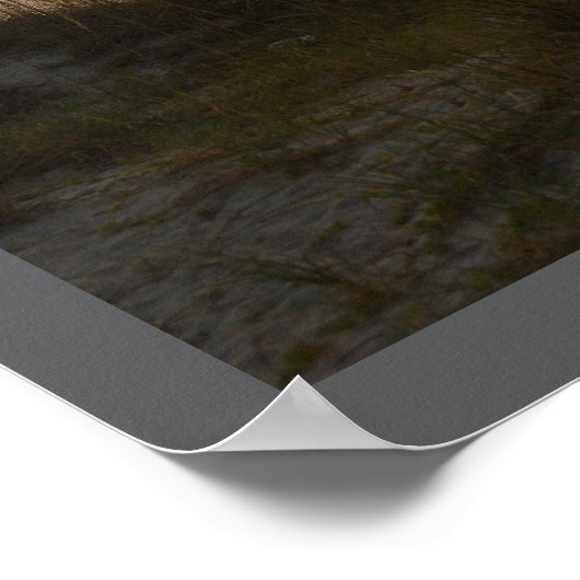 Florida Sunrises Print, Value Poster Paper (Matte) ポスター (角)