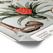 Florida The Everglade State ,Travel Poster ポスター (角)