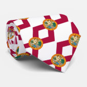 Florida Ties、米国ファッション、フロリダ州旗ビジネス ネクタイ (ロール)