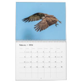 Florida Wildlife in Pinellas County 2026 カレンダー (2月 2026)