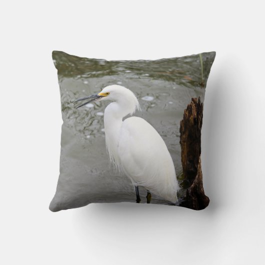 Florida's Singing Egret クッション (裏面)