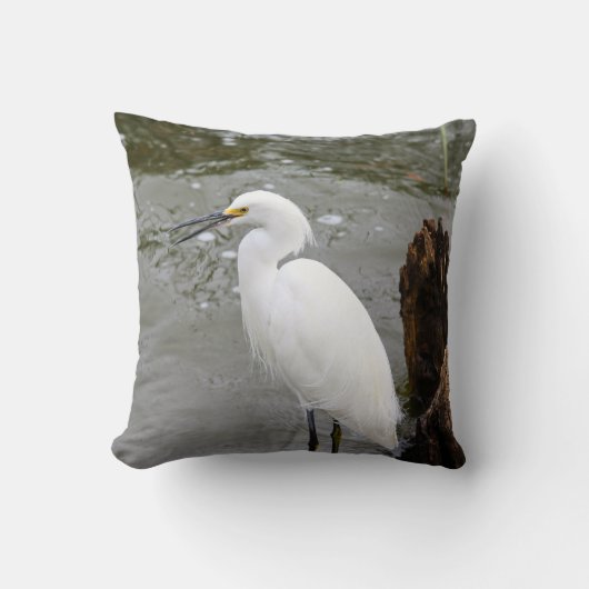 Florida's Singing Egret クッション (正面)