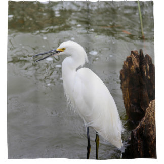 Florida's Singing Egret シャワーカーテン