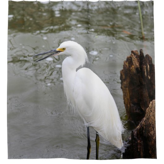 Florida's Singing Egret シャワーカーテン (正面)