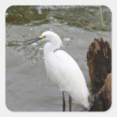 Florida's Singing Egret スクエアシール (正面)