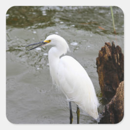 Florida's Singing Egret スクエアシール