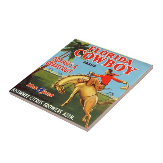 Floridayのカウボーイ タイル (側面)