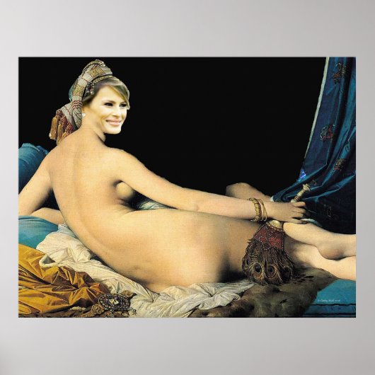 FLOTUSモデル妻アーカイブのマットポスター ポスター (正面)