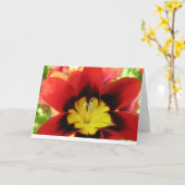 Flower1 カード (黄色い花)