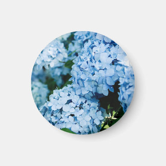 Flower  マグネット