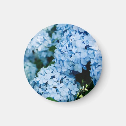 Flower  マグネット (正面)