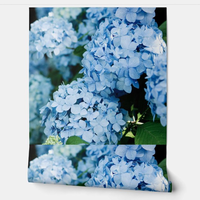 Flower 壁紙 (ほどく)