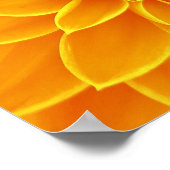 flower-663650明るい夏オレンジ色の黄色い花 ポスター (角)