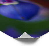 Flower and Bee ポスター (角)