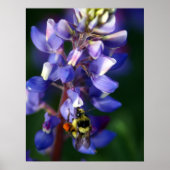 Flower and Bee ポスター (正面)