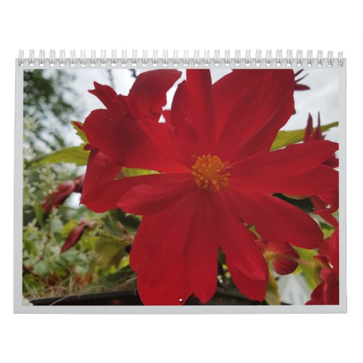 Flower Are It 2026 Calendar カレンダー (カバー)