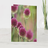 Flower Bee Thinking of You (photography by me) カード (裏面)