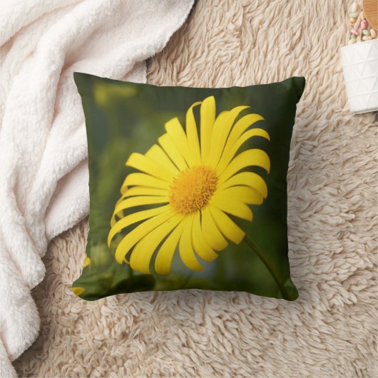 FLOWER BLOOM クッション (ブランケット)