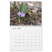 Flower Calendar by Jody Wiele Photography カレンダー (1月 2026)