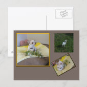 Flower Chihuahua Postcard ポストカード (正面/裏面)