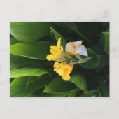 Flower Delivery ポストカード (正面)