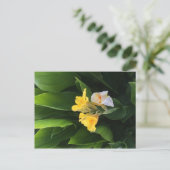 Flower Delivery ポストカード (スタンド正面)