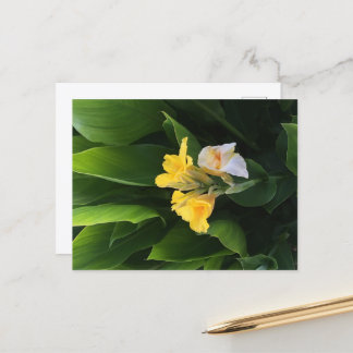 Flower Delivery ポストカード